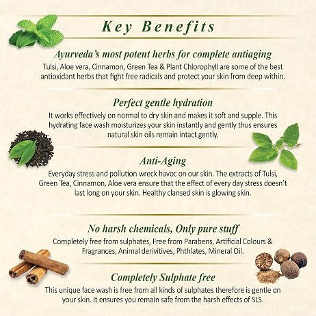 Herbs & Greens 5 in 1 Forest Greens Tulsi Face Wash